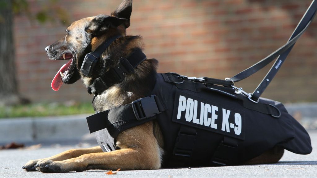New Laws To Protect Police K 9 Units Privacy For Cops 